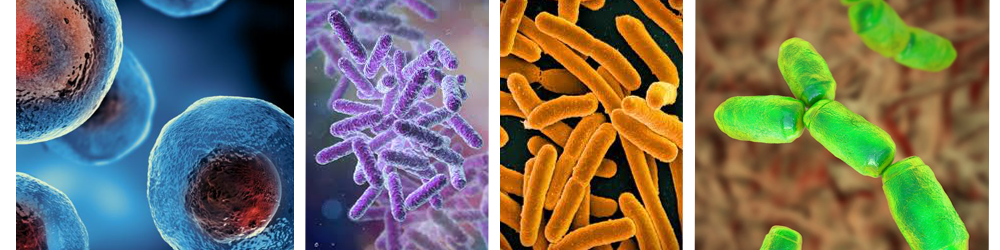 Extremophiles