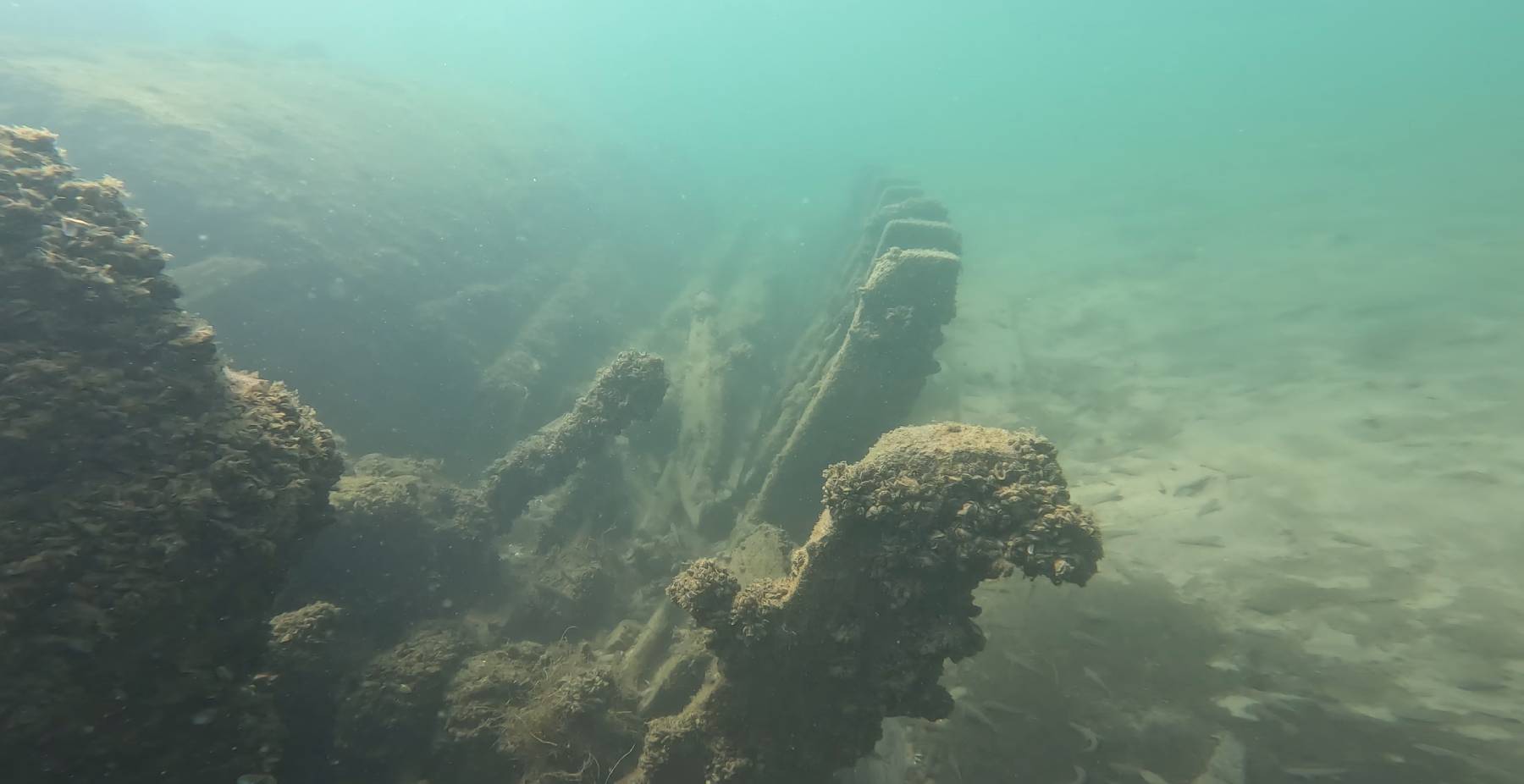 Shipwreck