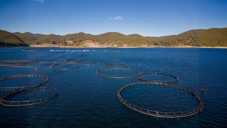 Fish Farms