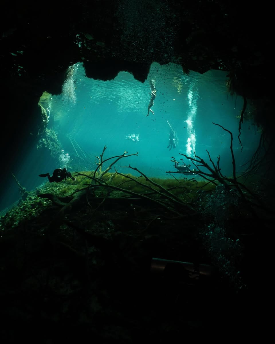 Cenotes Diving