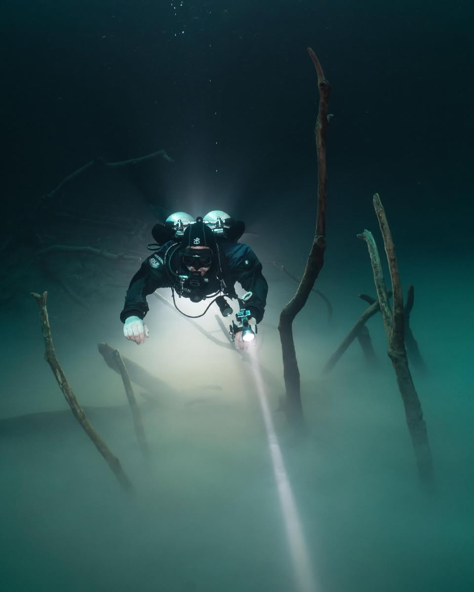 Cenotes Diving