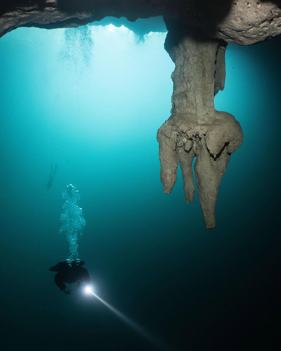 Cenotes Diving