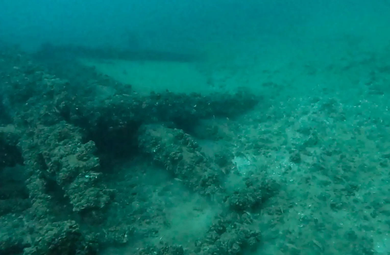 Henry Rooney Shipwreck