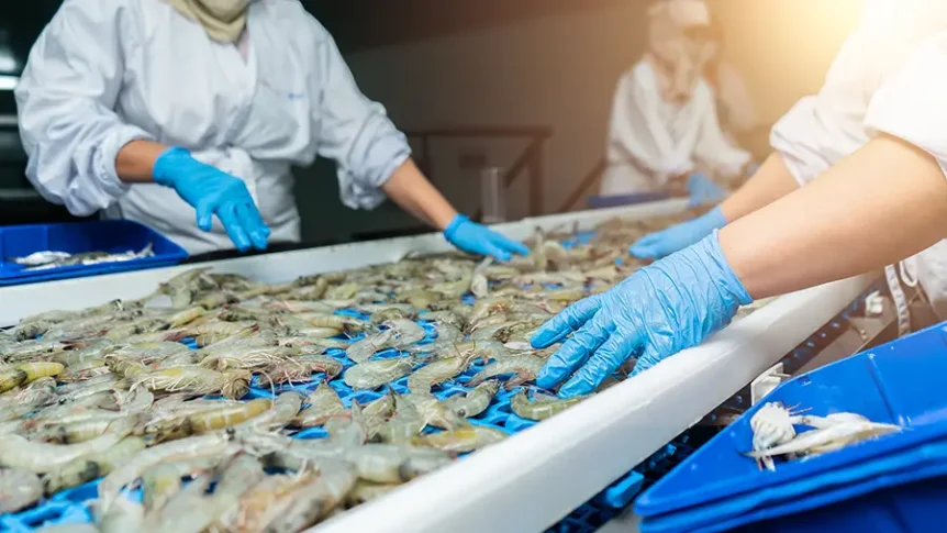 Ocean Biodiversity