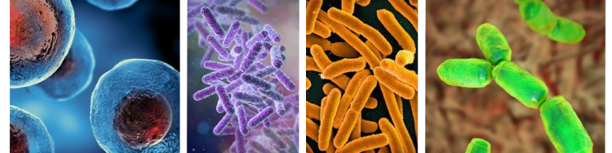 Extremophiles